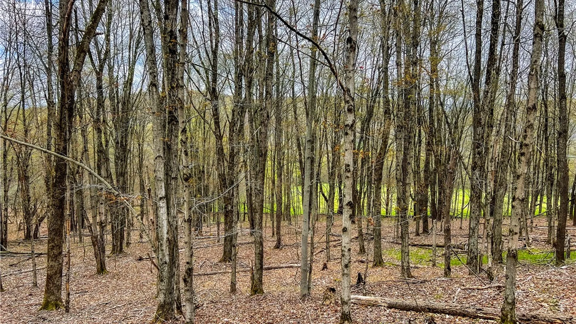 Property at Lot 3 Brownell Road, Kortright, NY 13739 19