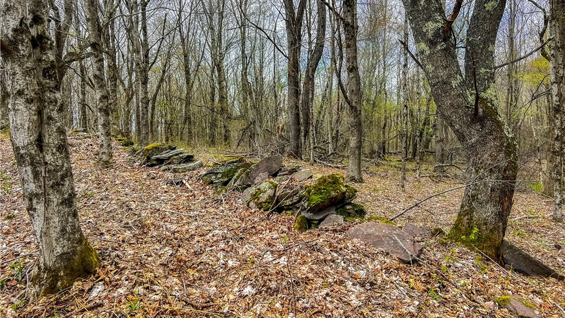 Property at Lot 3 Brownell Road, Kortright, NY 13739 20