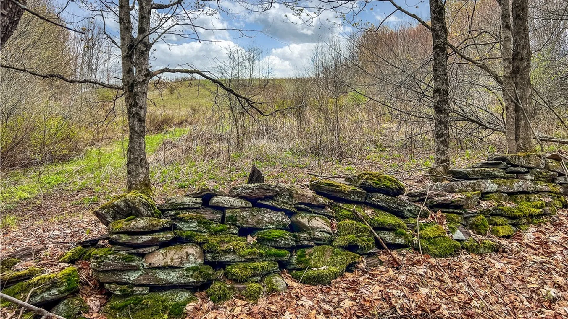Property at Lot 3 Brownell Road, Kortright, NY 13739 21