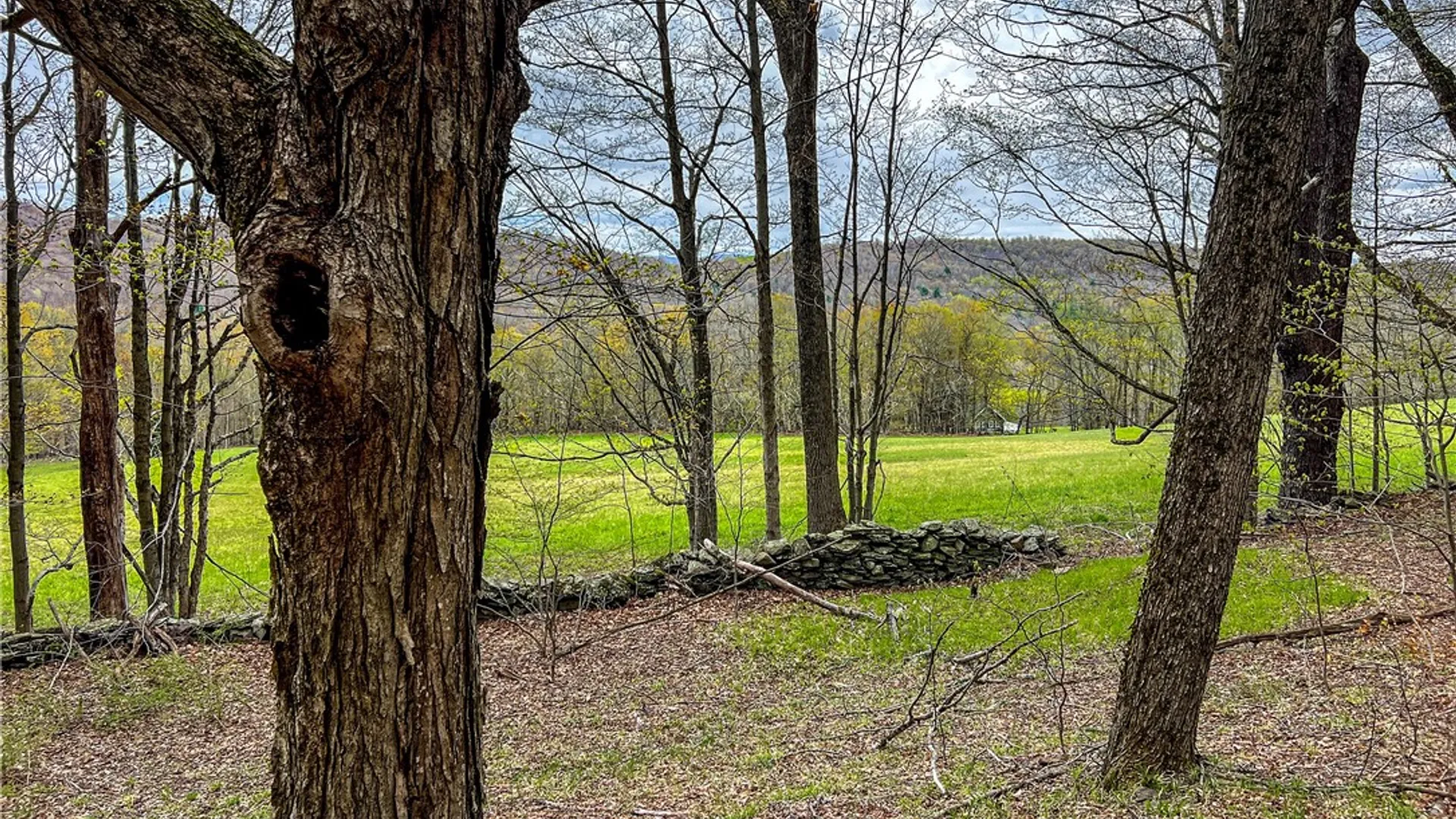 Property at Lot 3 Brownell Road, Kortright, NY 13739 22