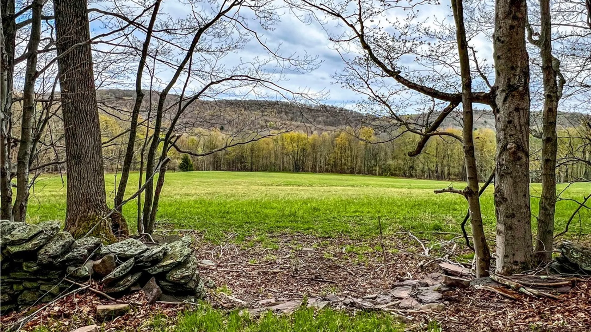 Property at Lot 3 Brownell Road, Kortright, NY 13739 23