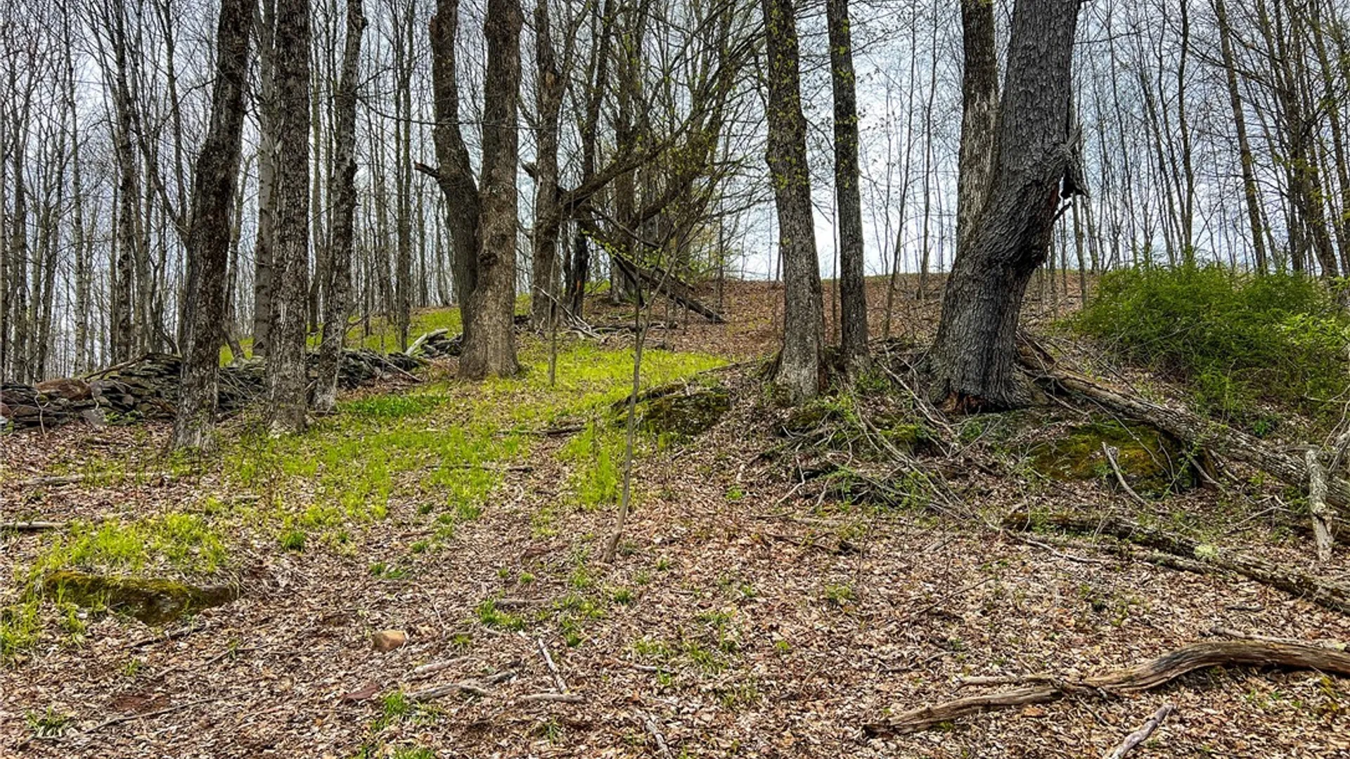 Property at Lot 3 Brownell Road, Kortright, NY 13739 24