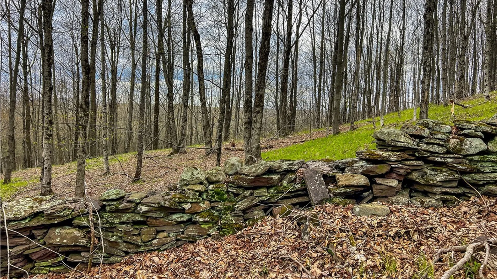 Property at Lot 3 Brownell Road, Kortright, NY 13739 25