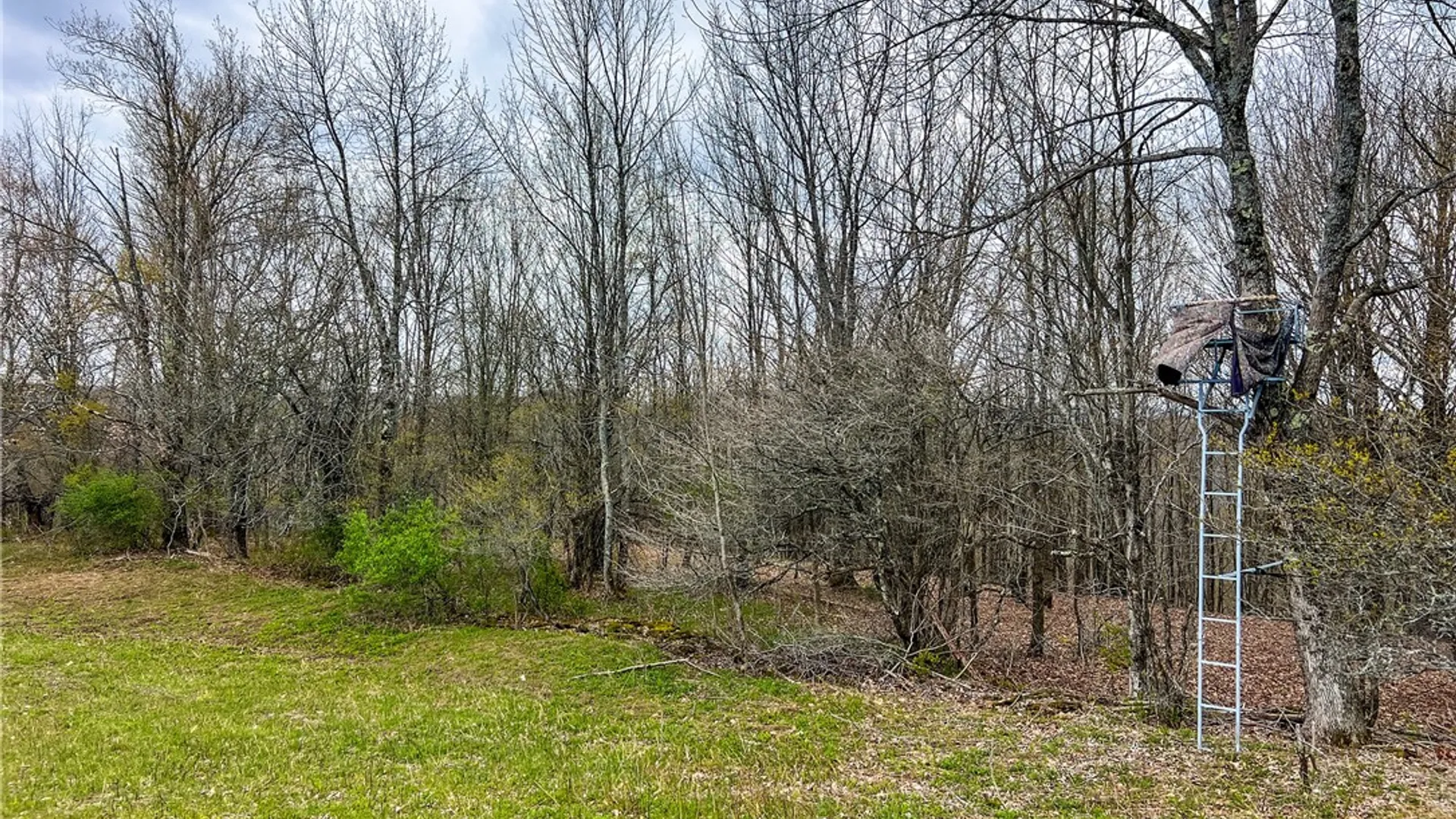 Property at Lot 3 Brownell Road, Kortright, NY 13739 27