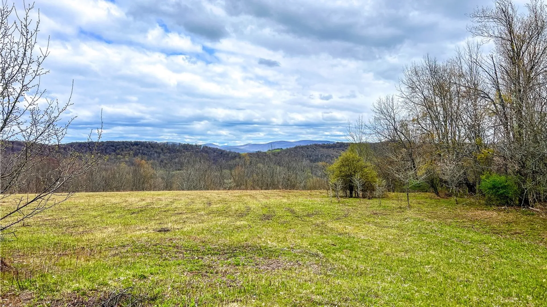 Property at Lot 3 Brownell Road, Kortright, NY 13739 29