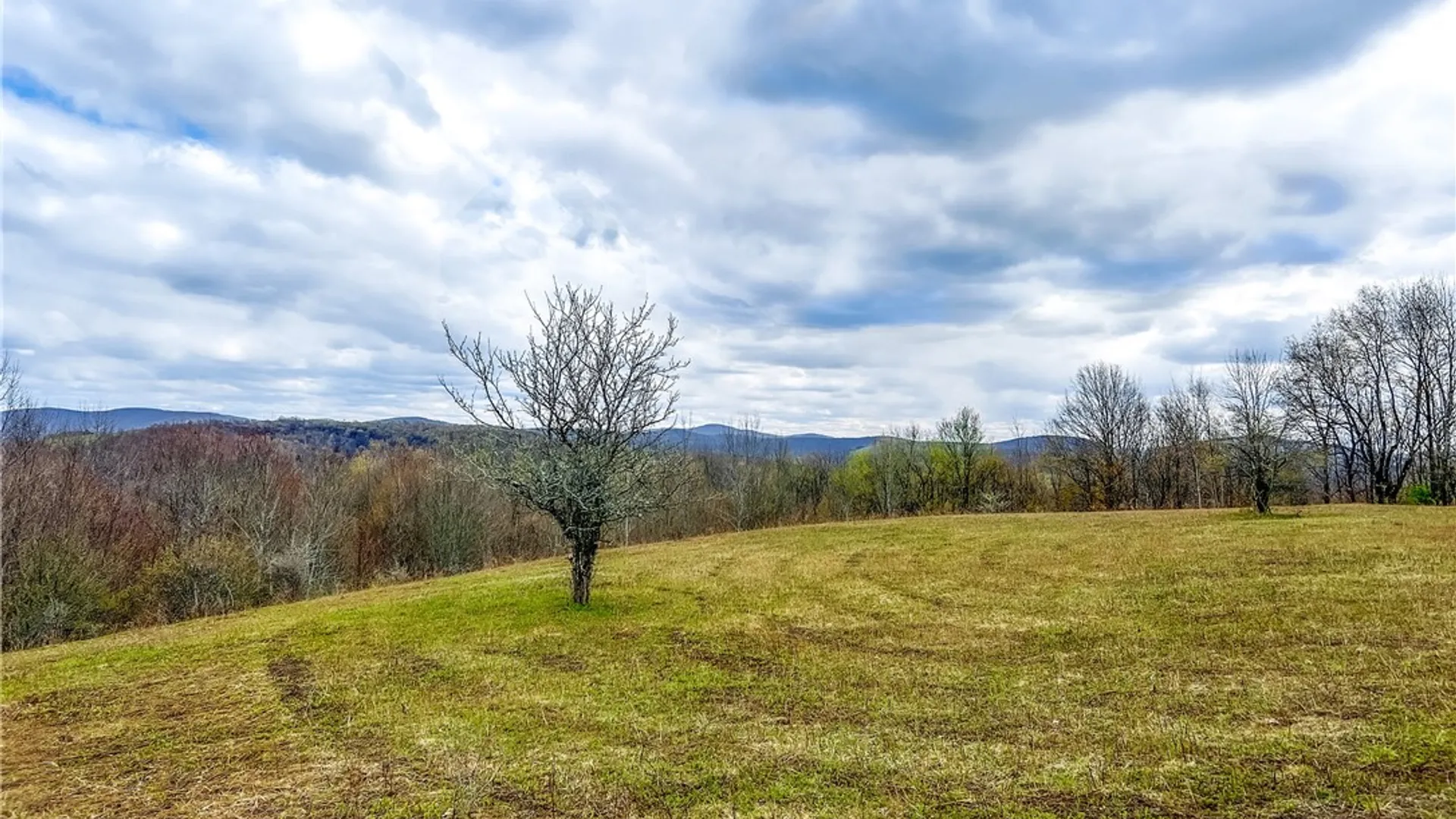 Property at Lot 3 Brownell Road, Kortright, NY 13739 30