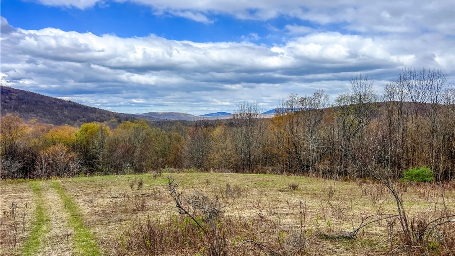 Property at Lot 3 Brownell Road, Kortright, NY 13739 31