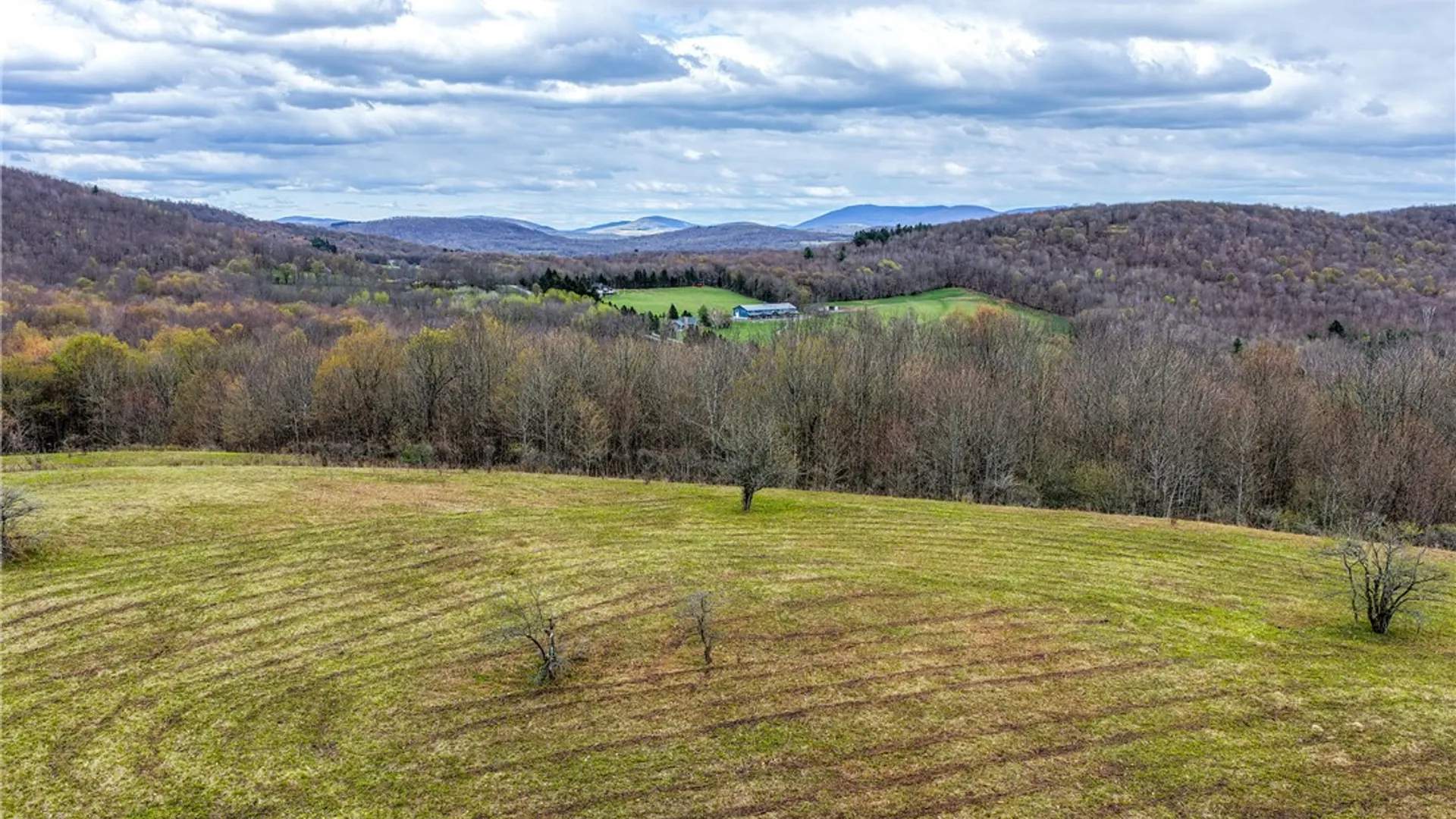 Property at Lot 3 Brownell Road, Kortright, NY 13739 32