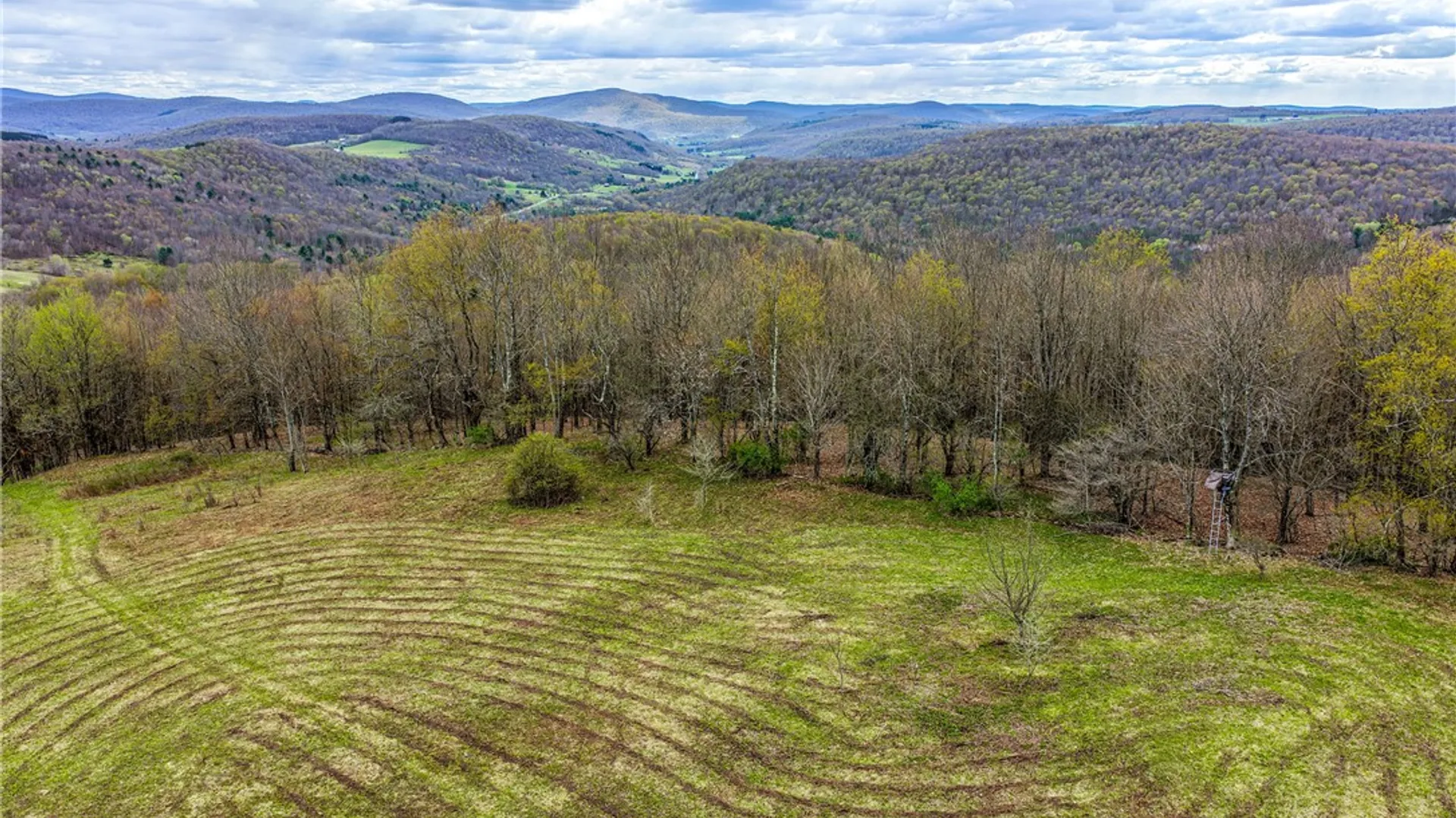 Property at Lot 3 Brownell Road, Kortright, NY 13739 33