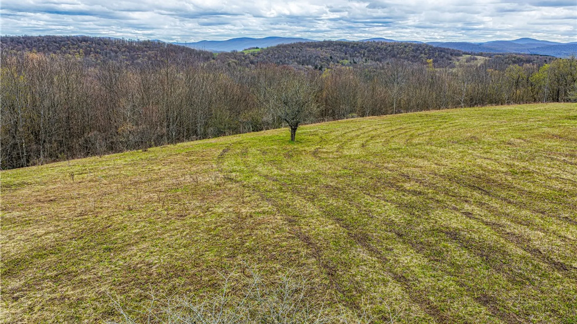 Property at Lot 3 Brownell Road, Kortright, NY 13739 34