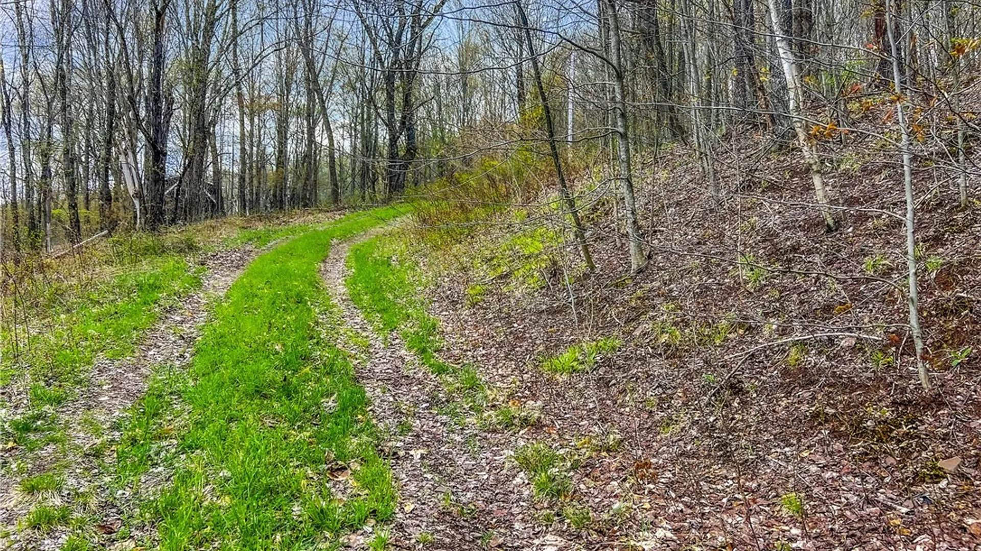 Property at Lot 3 Brownell Road, Kortright, NY 13739 4
