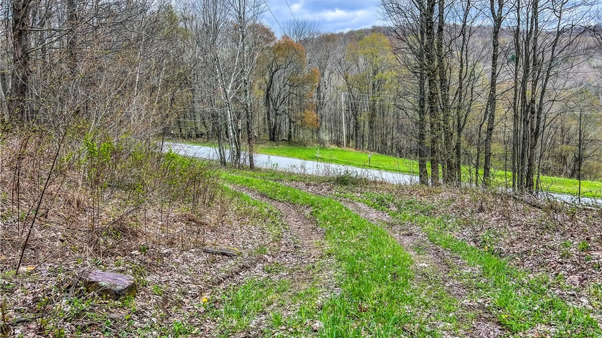 Property at Lot 3 Brownell Road, Kortright, NY 13739 5