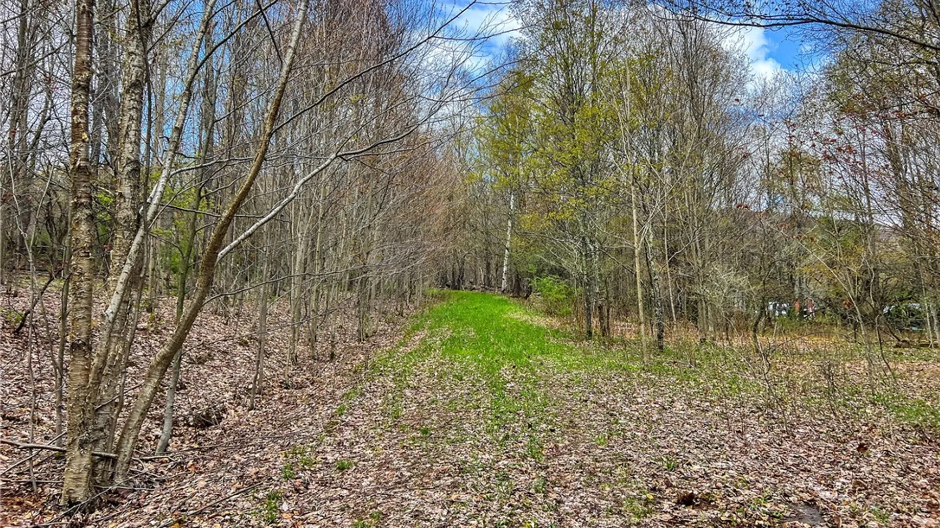 Property at Lot 3 Brownell Road, Kortright, NY 13739 6