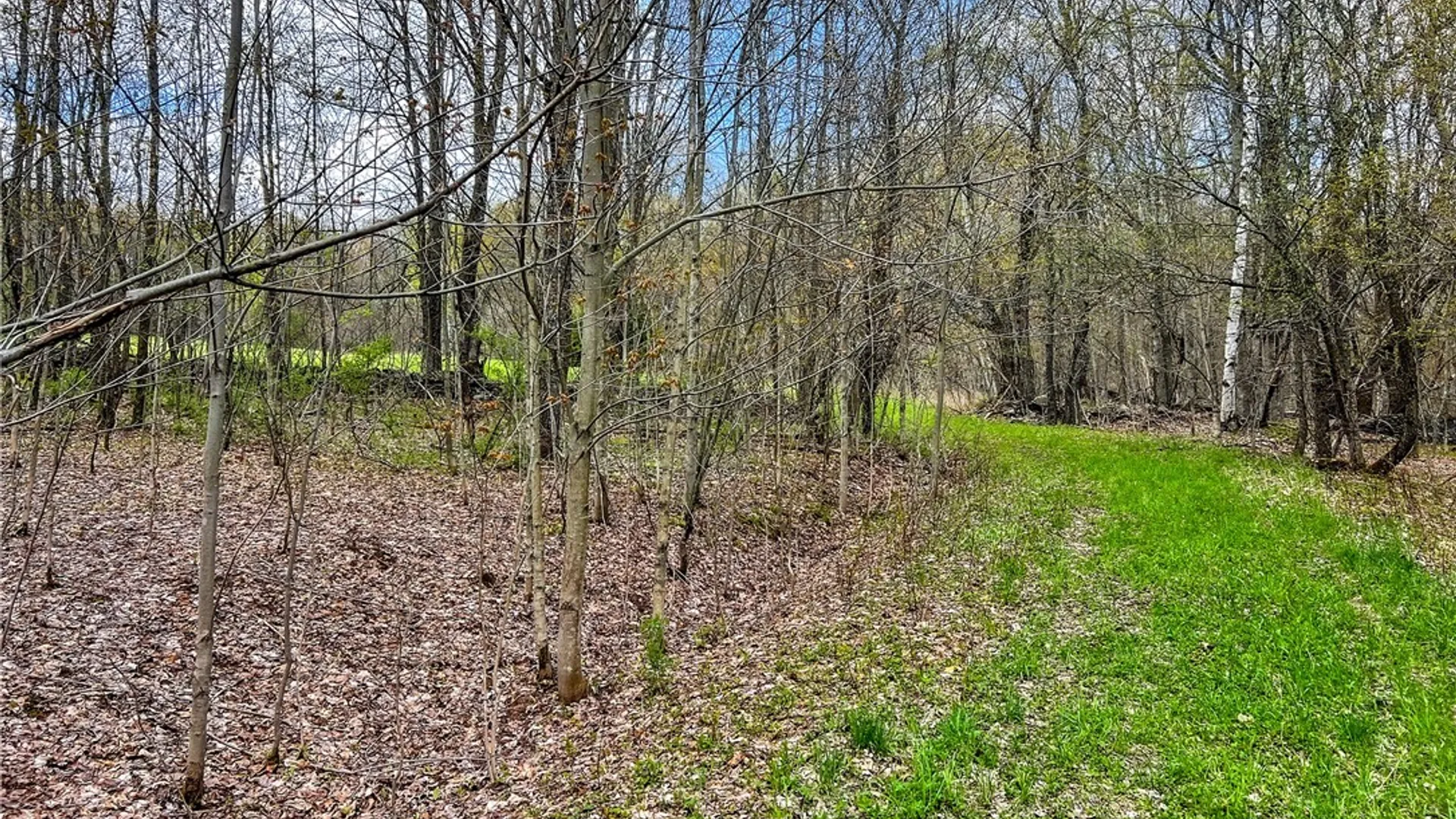 Property at Lot 3 Brownell Road, Kortright, NY 13739 7