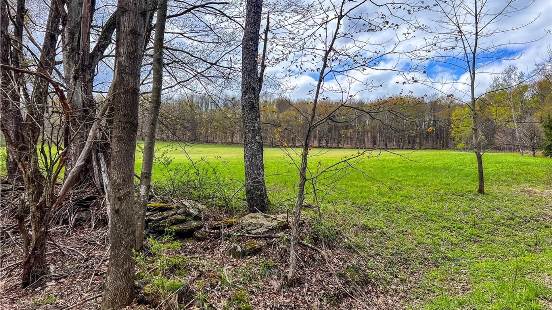Property at Lot 3 Brownell Road, Kortright, NY 13739 8
