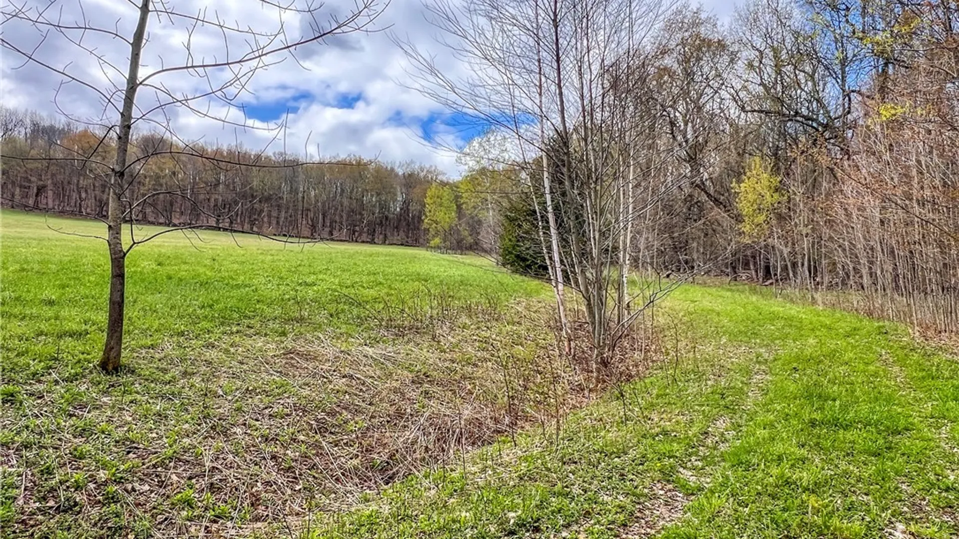 Property at Lot 3 Brownell Road, Kortright, NY 13739 9