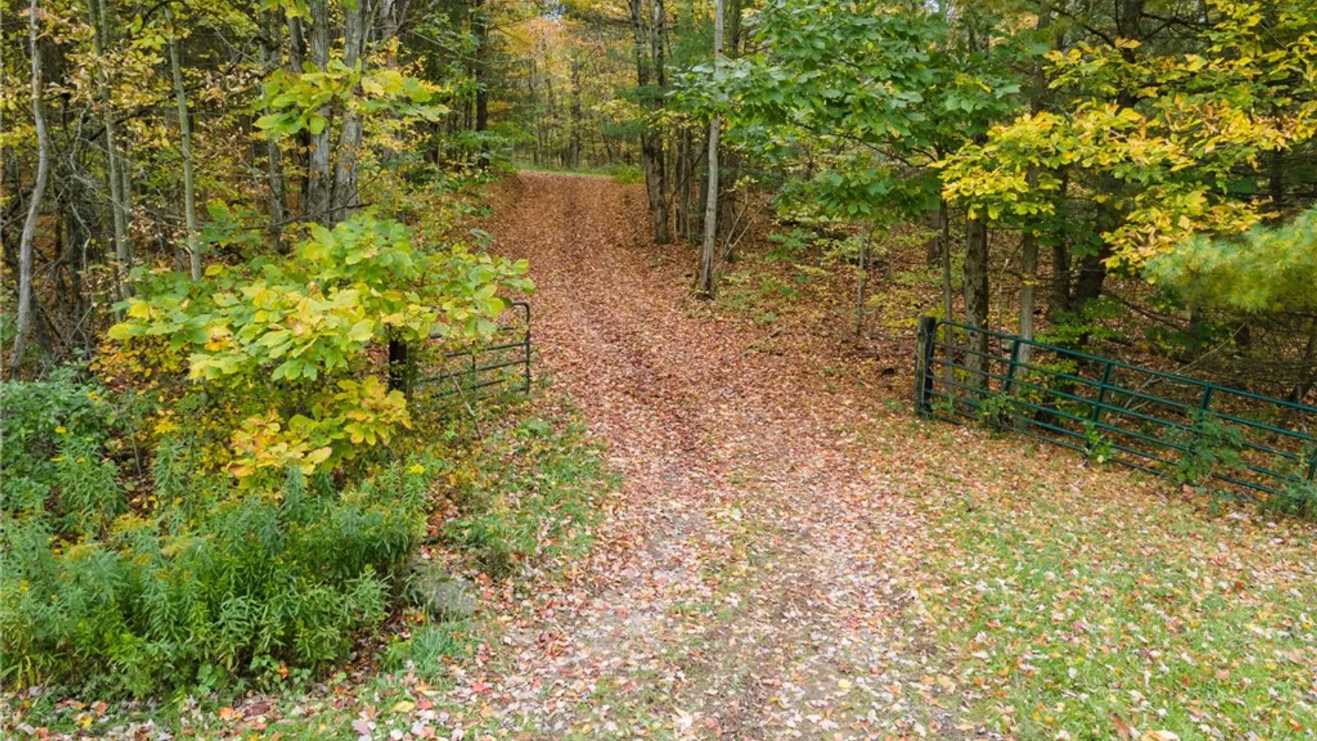 Property at 734 Post Road, Franklin, NY 13775 9