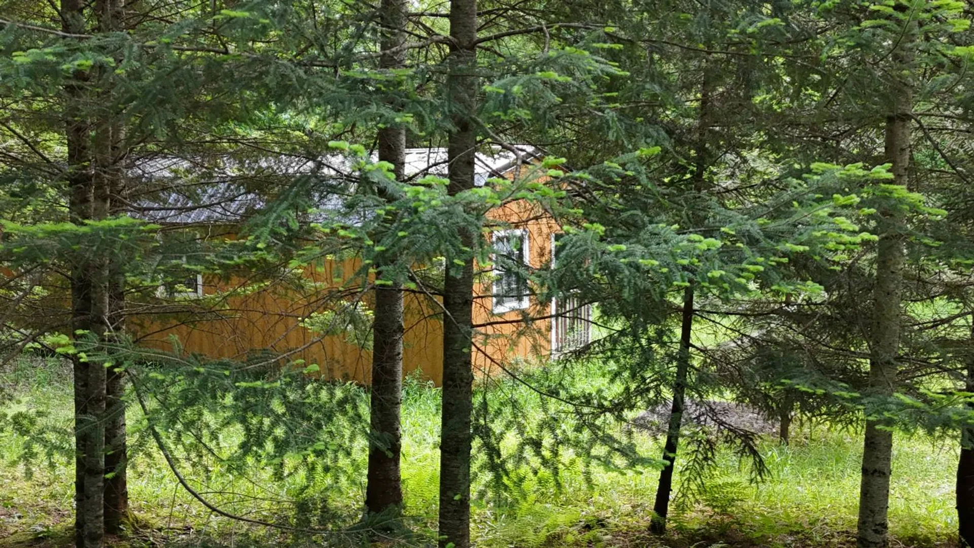 Property at 00 Farr Rd, Forestport, NY 13338 15