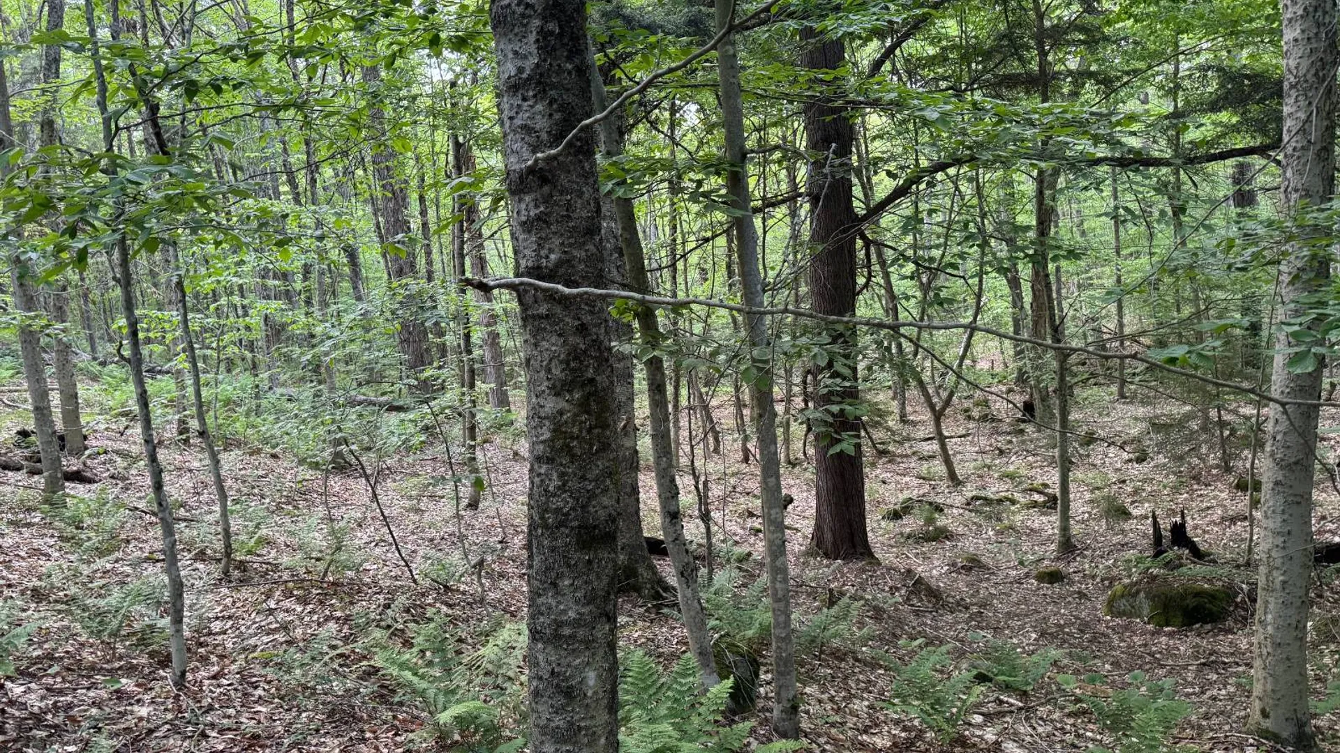 Property at 00 Farr Rd, Forestport, NY 13338 16