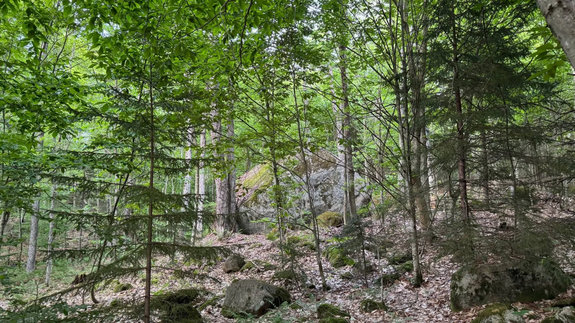 Property at 00 Farr Rd, Forestport, NY 13338 17