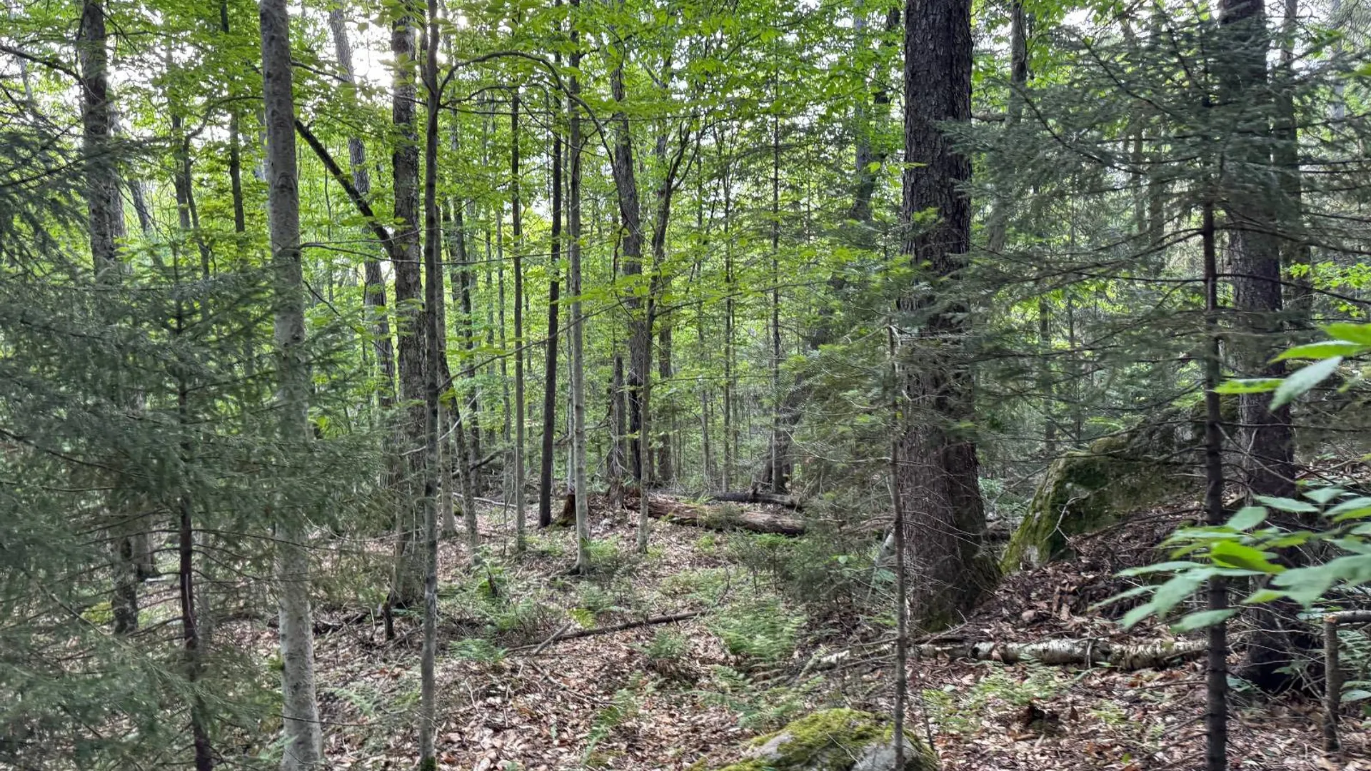Property at 00 Farr Rd, Forestport, NY 13338 20