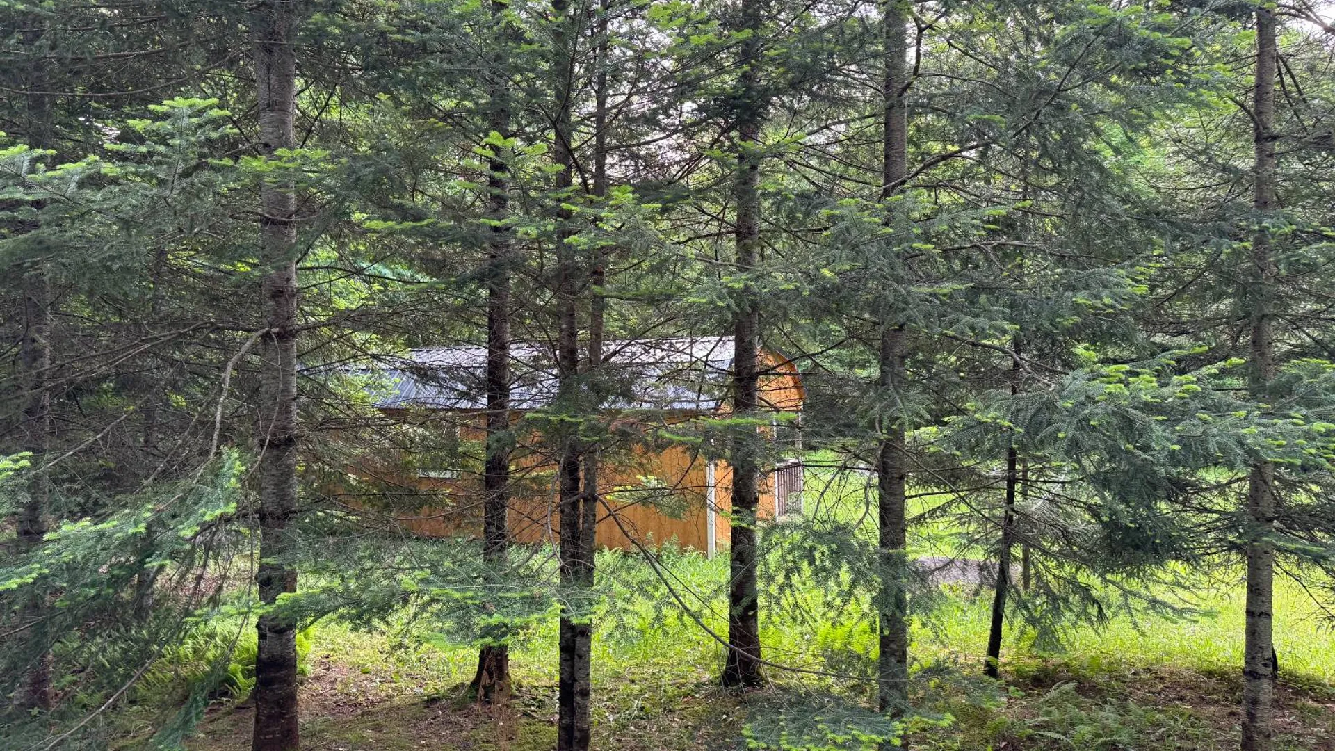 Property at 00 Farr Rd, Forestport, NY 13338 23