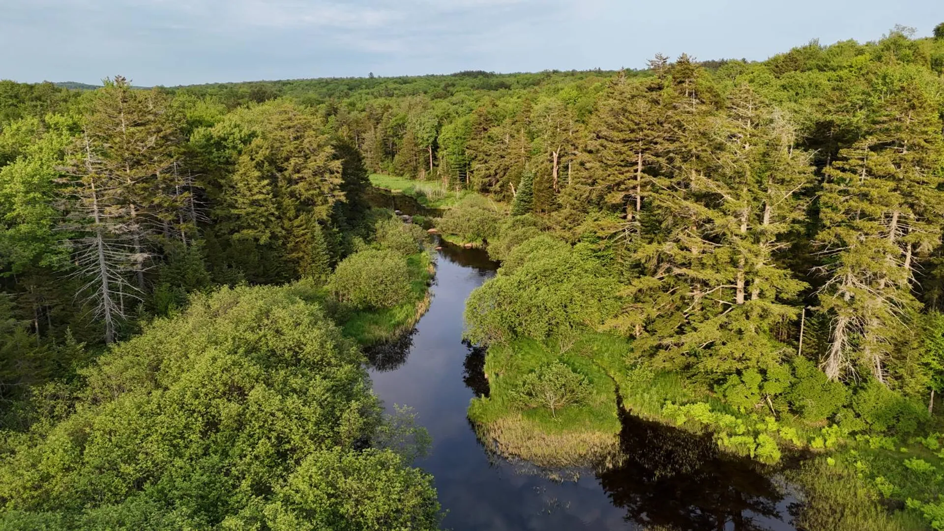 Property at 00 Farr Rd, Forestport, NY 13338 26