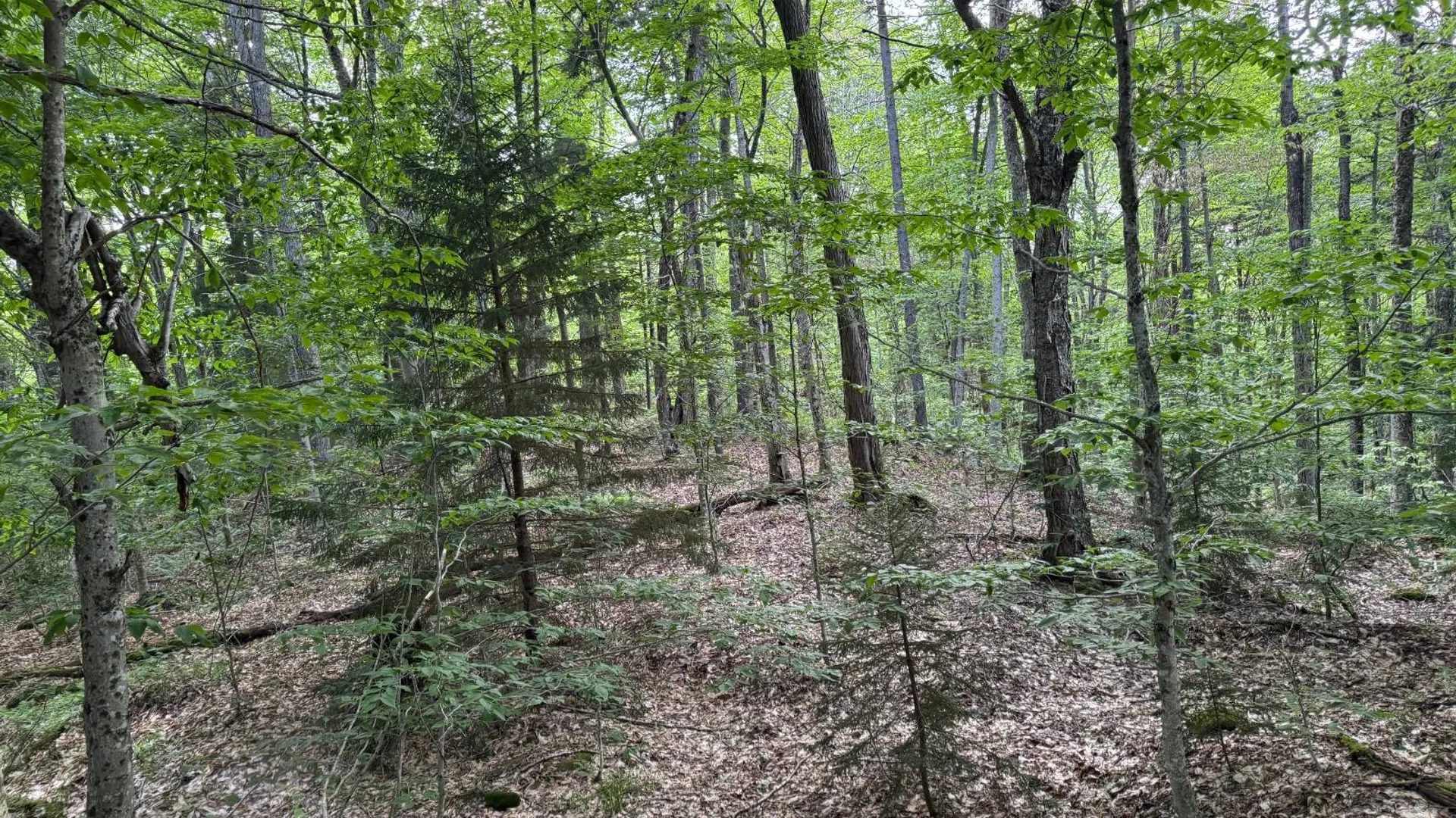 Property at 00 Farr Rd, Forestport, NY 13338 7