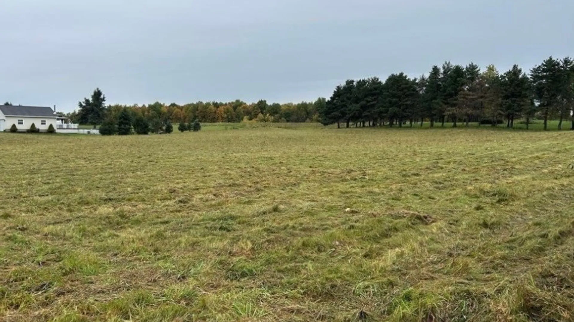 Property at 0 Plank Road, Pamelia, NY 13616 2
