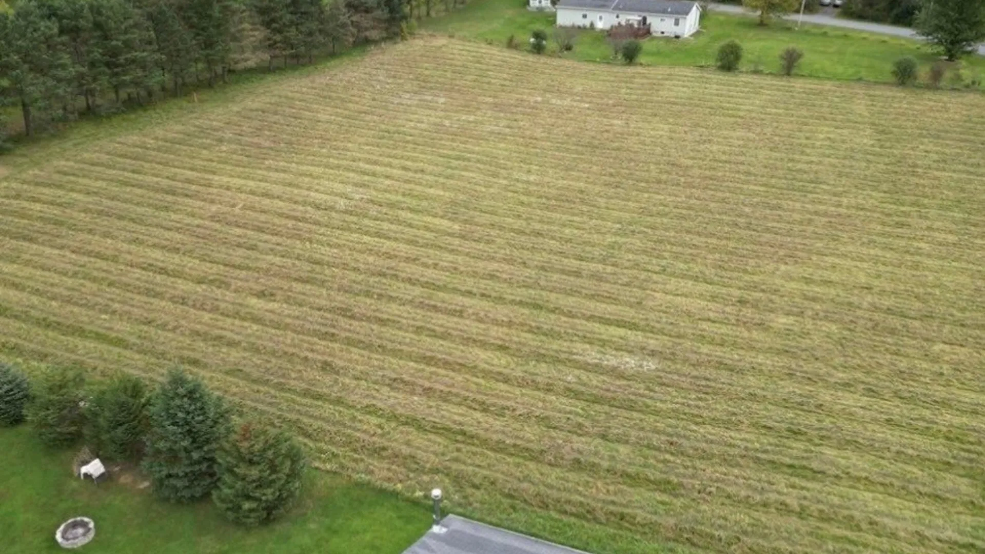 Property at 0 Plank Road, Pamelia, NY 13616 5