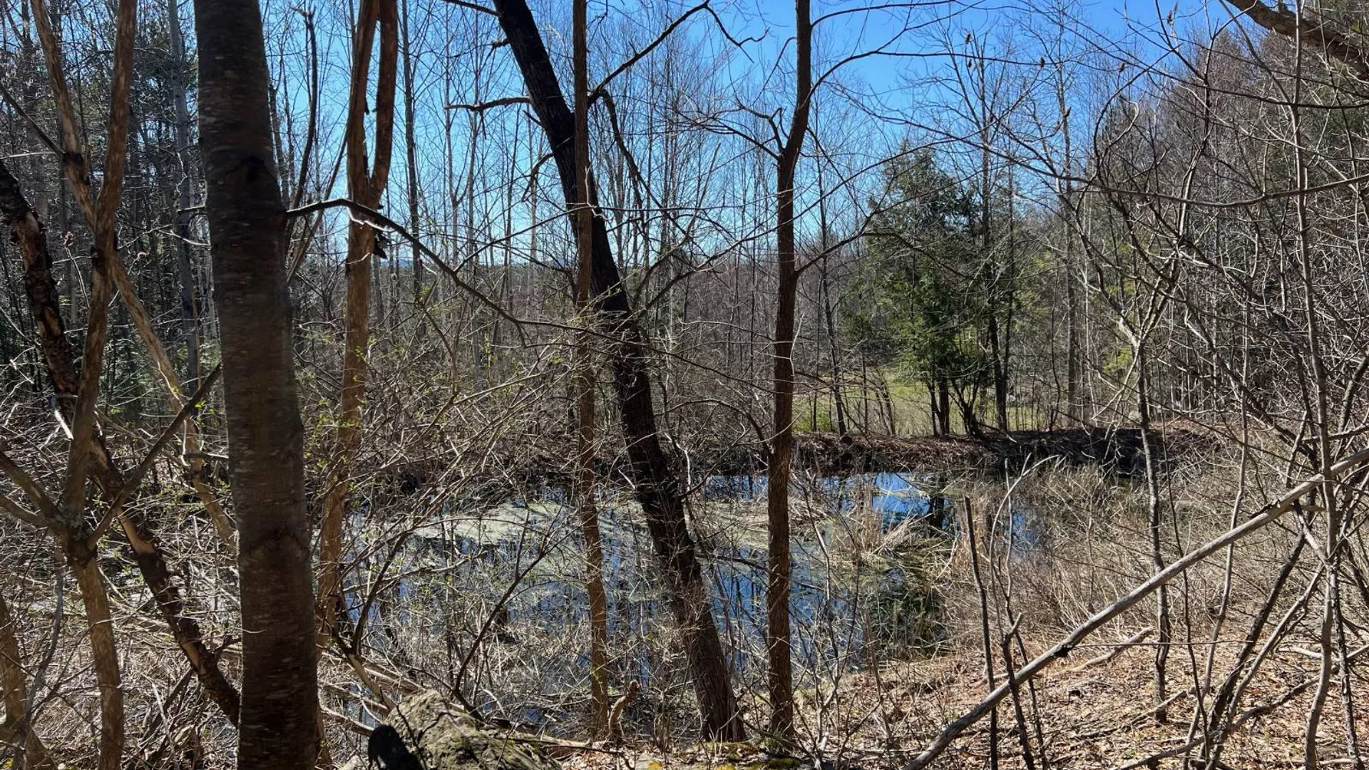 Property at 0 Route 23C, Jewett, NY 12485 2