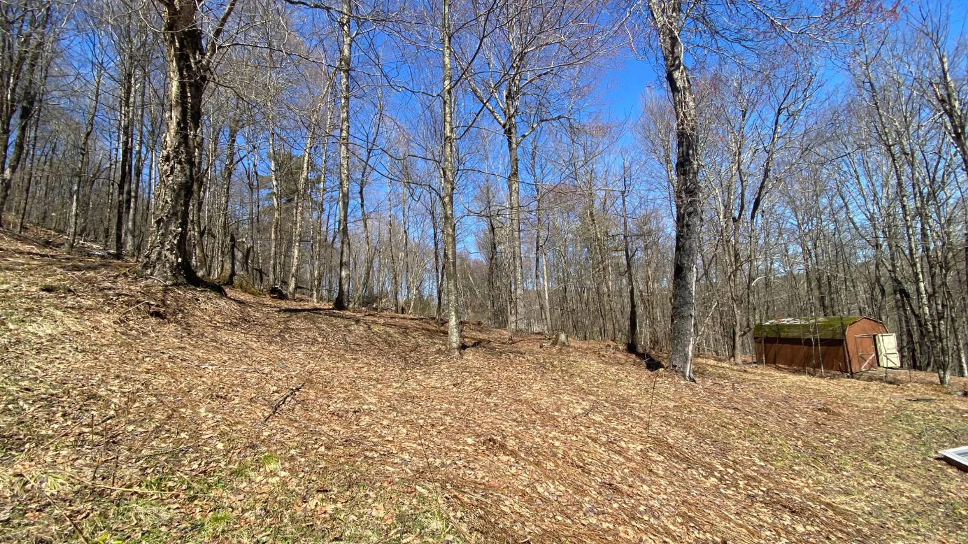 Property at 3495 Launt Hollow Rd, Hamden, NY 13782 10