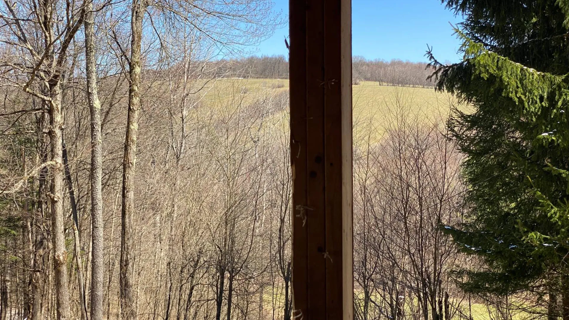 Property at 3495 Launt Hollow Rd, Hamden, NY 13782 13