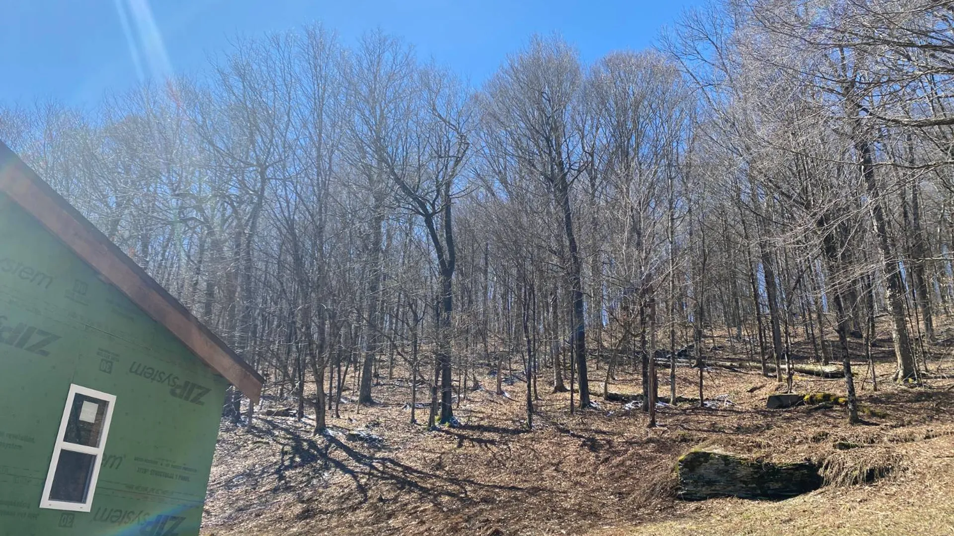 Property at 3495 Launt Hollow Rd, Hamden, NY 13782 23