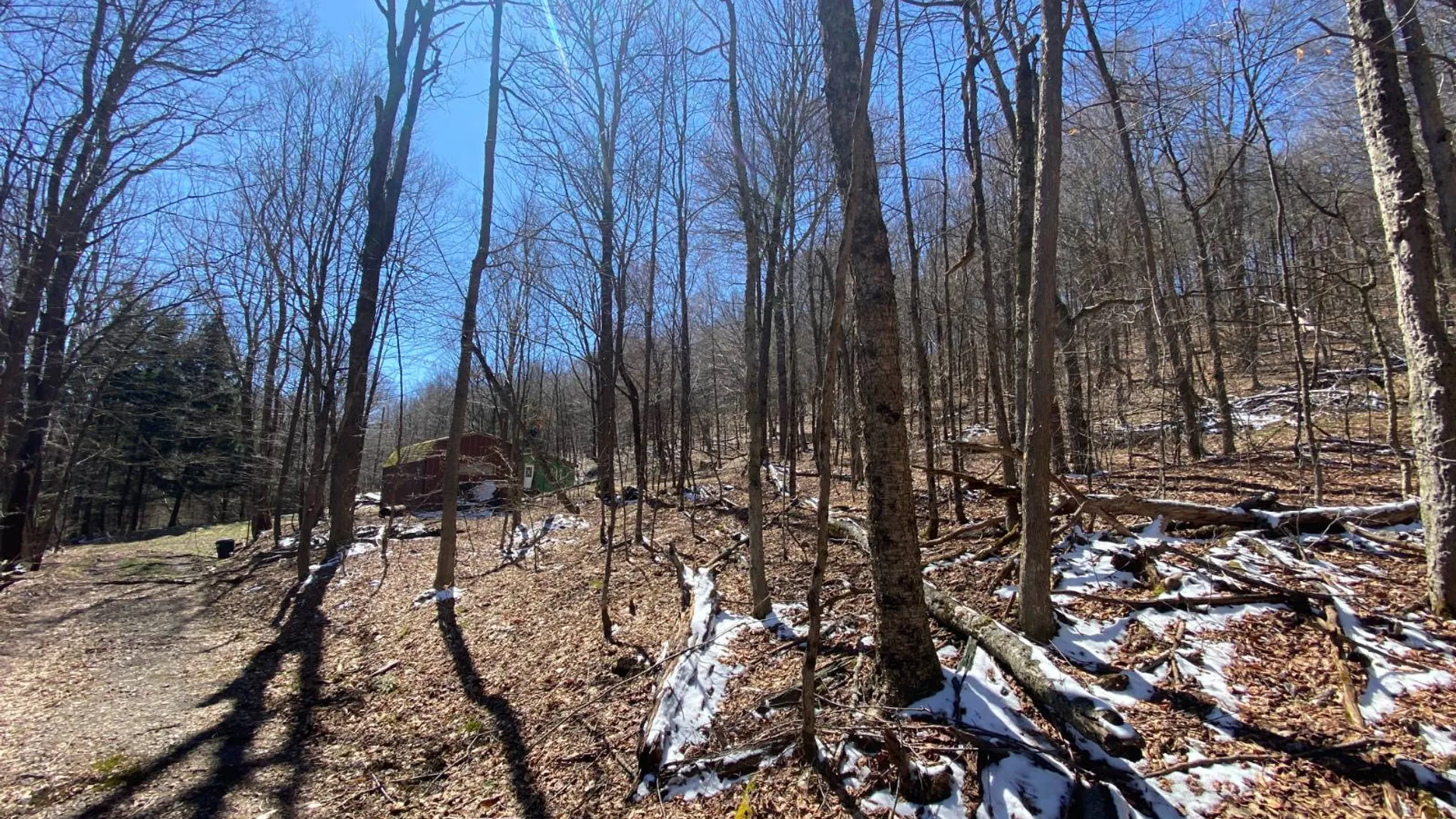 Property at 3495 Launt Hollow Rd, Hamden, NY 13782 27