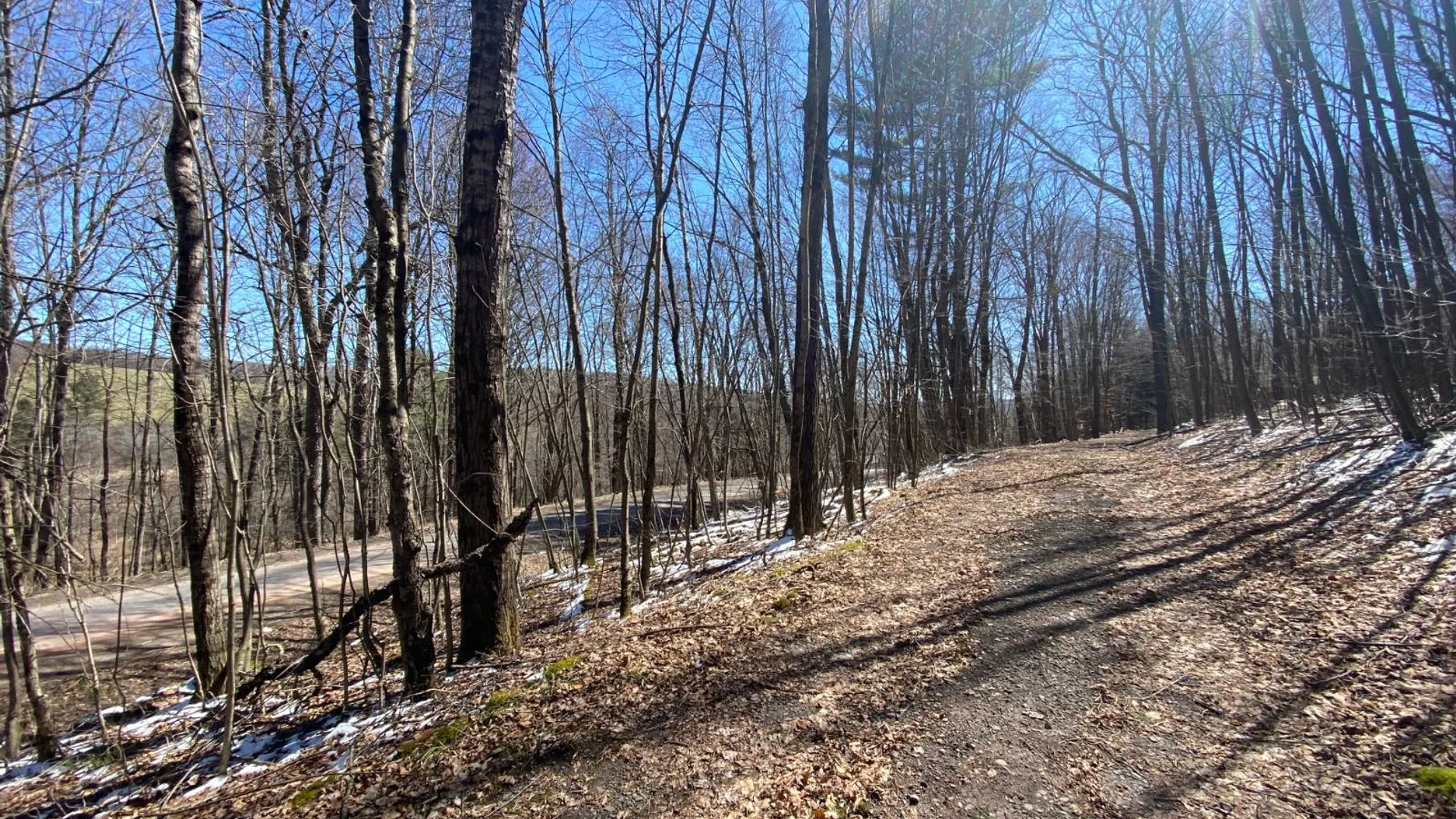 Property at 3495 Launt Hollow Rd, Hamden, NY 13782 3