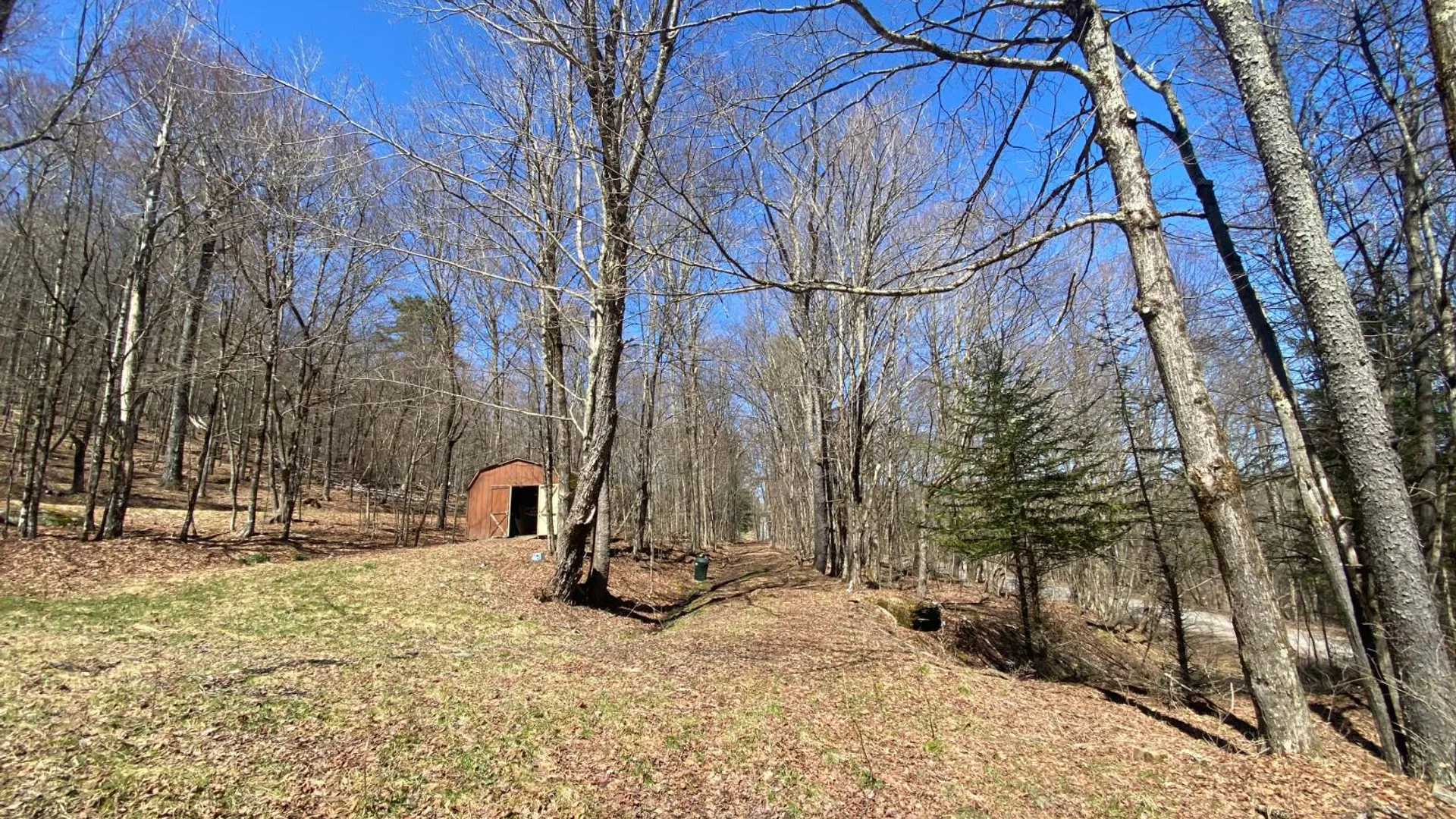 Property at 3495 Launt Hollow Rd, Hamden, NY 13782 5