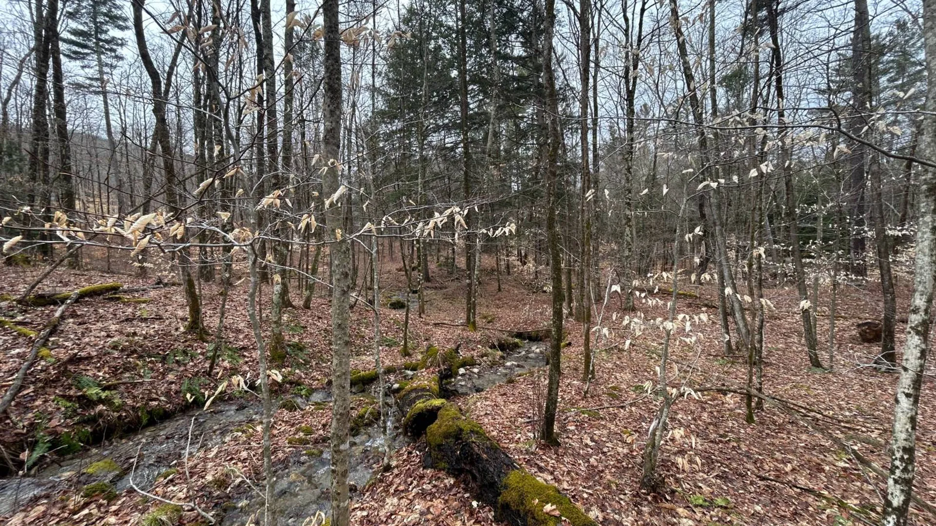 Property at L2 Prosser Hollow Rd, Petersburg, NY 12138 10