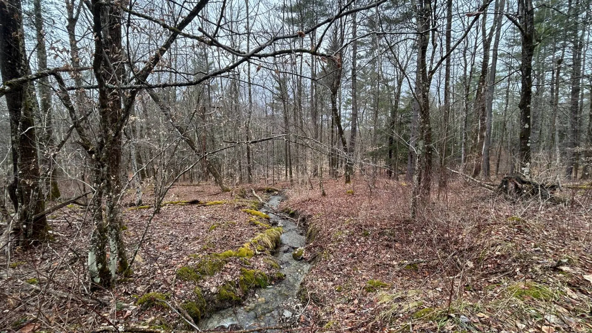 Property at L2 Prosser Hollow Rd, Petersburg, NY 12138 11
