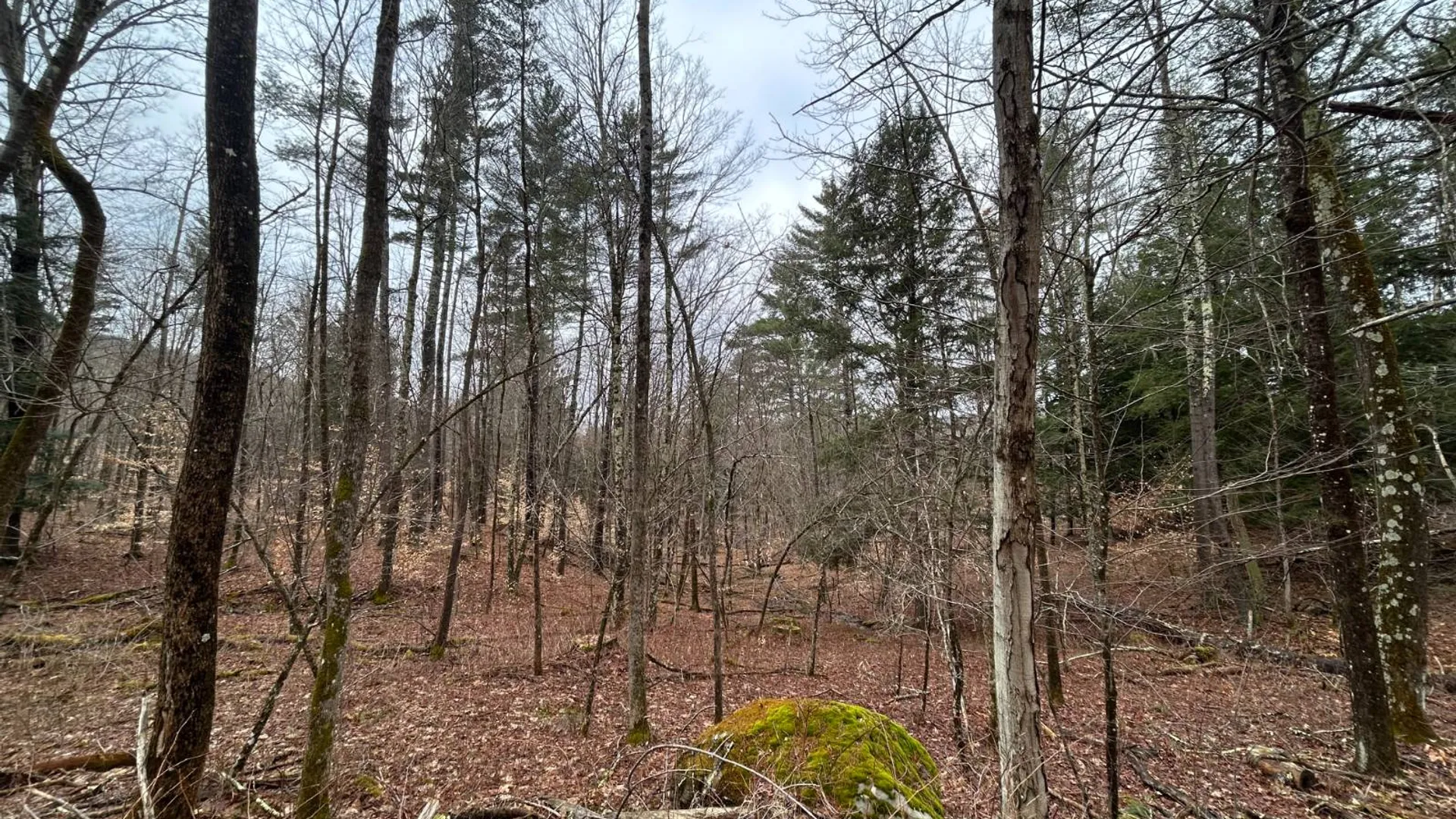 Property at L2 Prosser Hollow Rd, Petersburg, NY 12138 12
