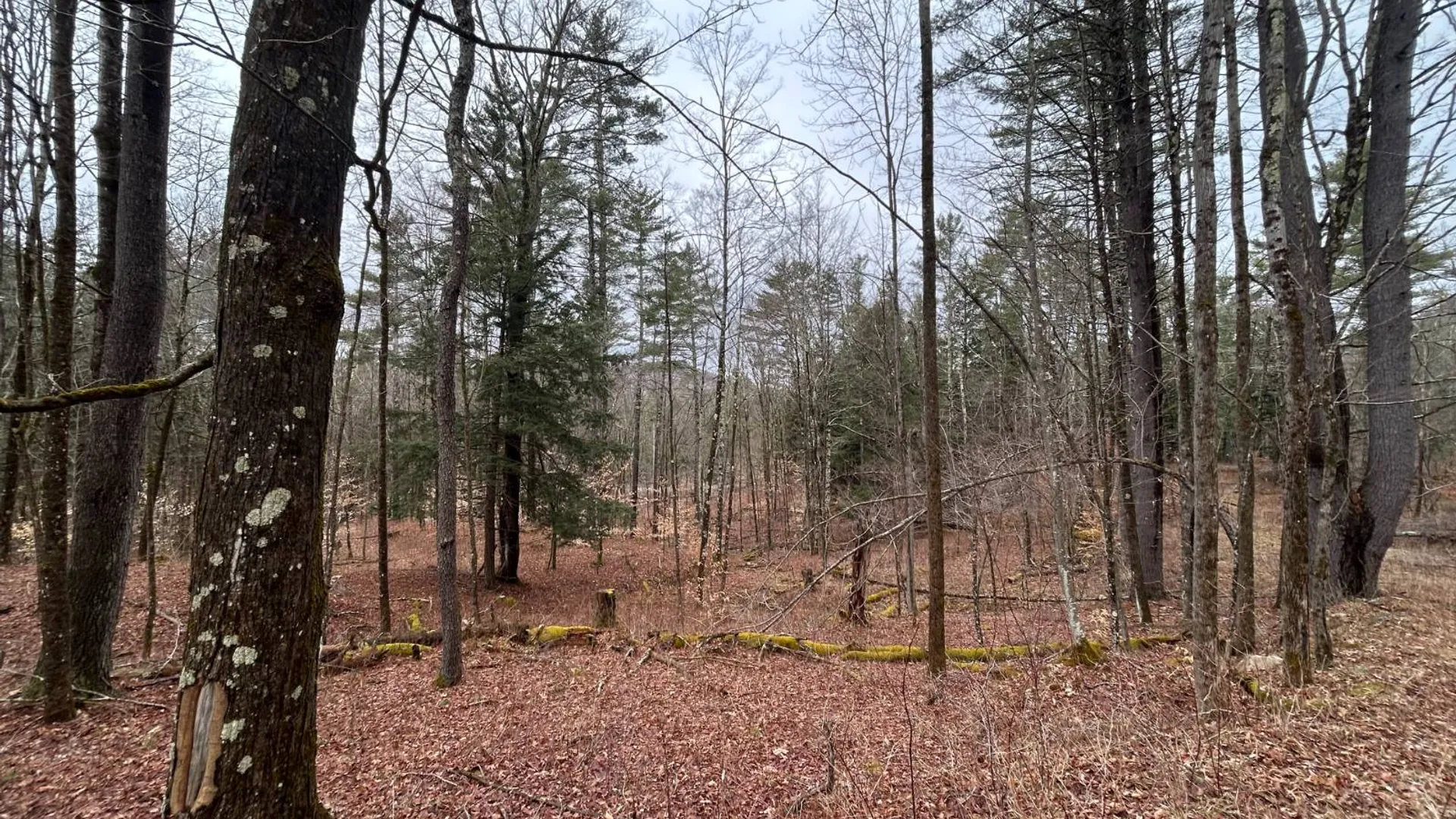 Property at L2 Prosser Hollow Rd, Petersburg, NY 12138 13