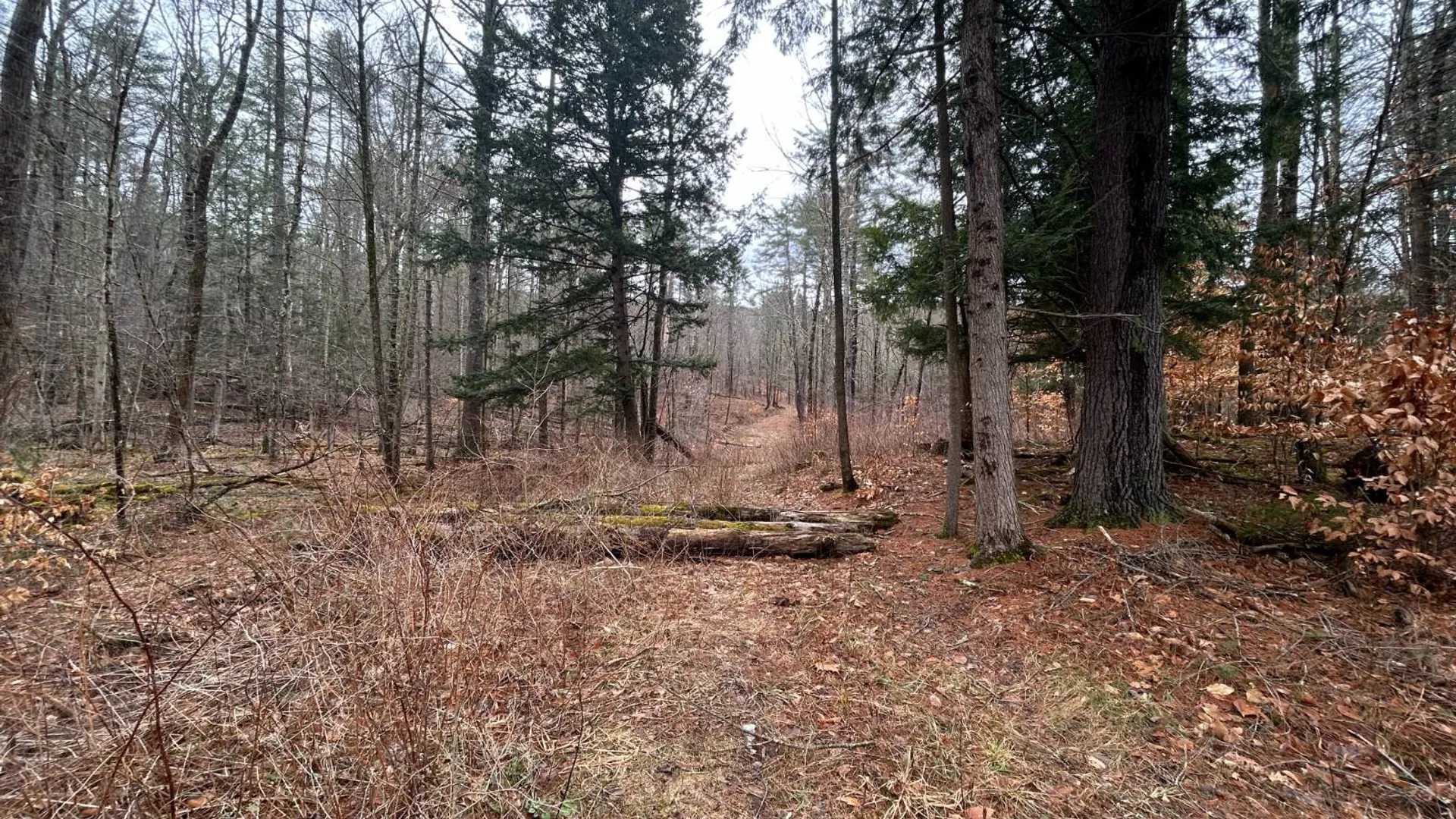 Property at L2 Prosser Hollow Rd, Petersburg, NY 12138 3