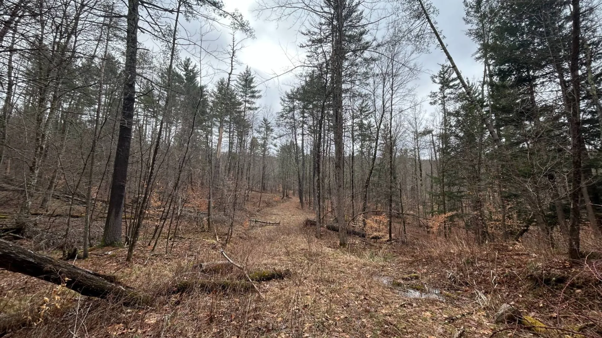 Property at L2 Prosser Hollow Rd, Petersburg, NY 12138 4