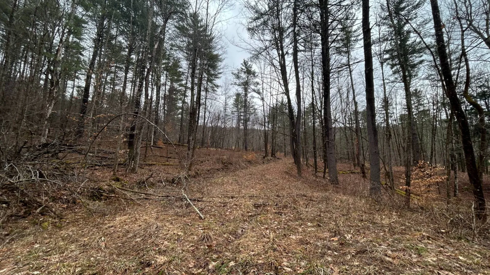 Property at L2 Prosser Hollow Rd, Petersburg, NY 12138 5