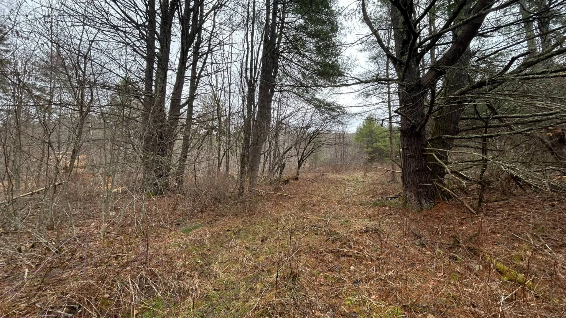 Property at L2 Prosser Hollow Rd, Petersburg, NY 12138 6
