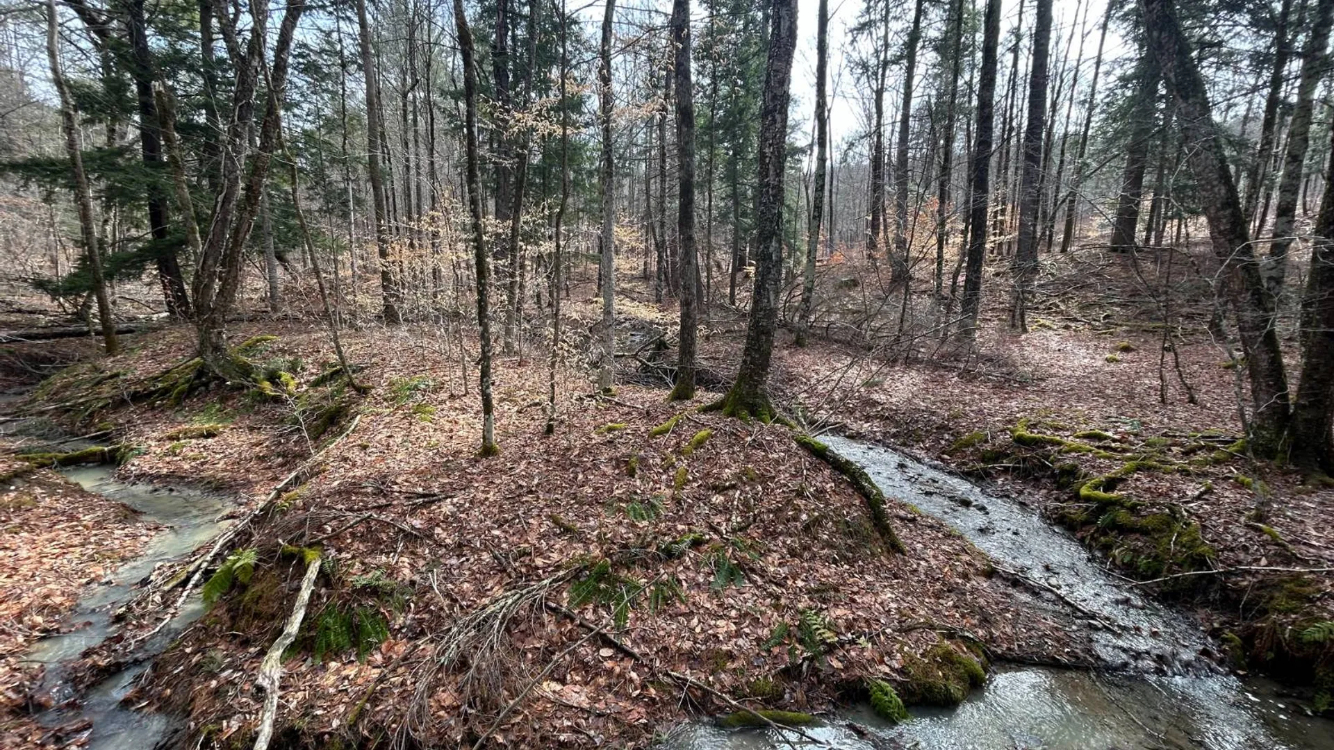Property at L2 Prosser Hollow Rd, Petersburg, NY 12138 7