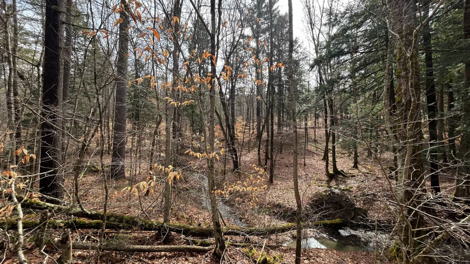 Property at L2 Prosser Hollow Rd, Petersburg, NY 12138 8