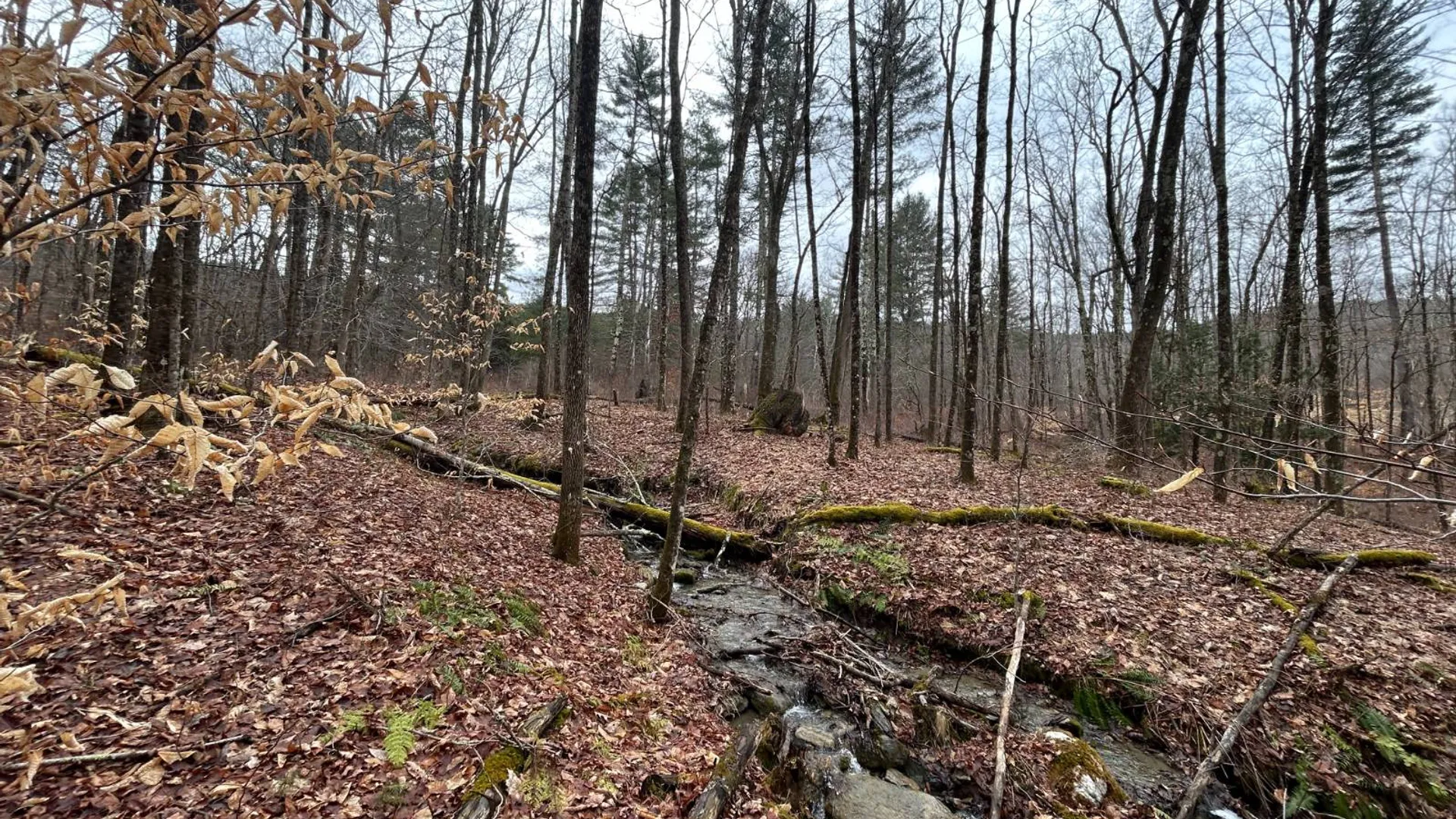 Property at L2 Prosser Hollow Rd, Petersburg, NY 12138 9