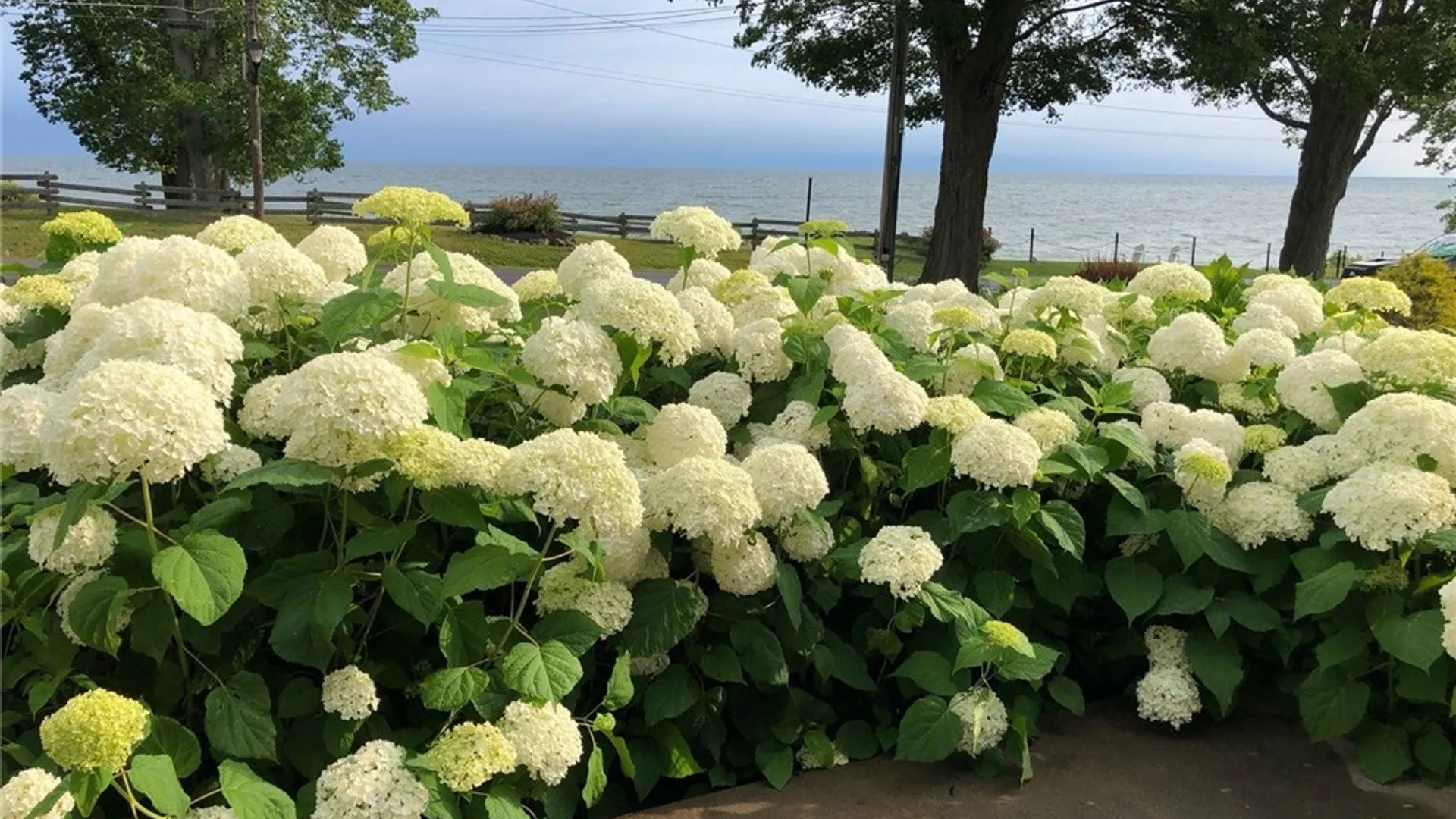 Property at 8328 Lake Street, Sodus, NY 14555 49