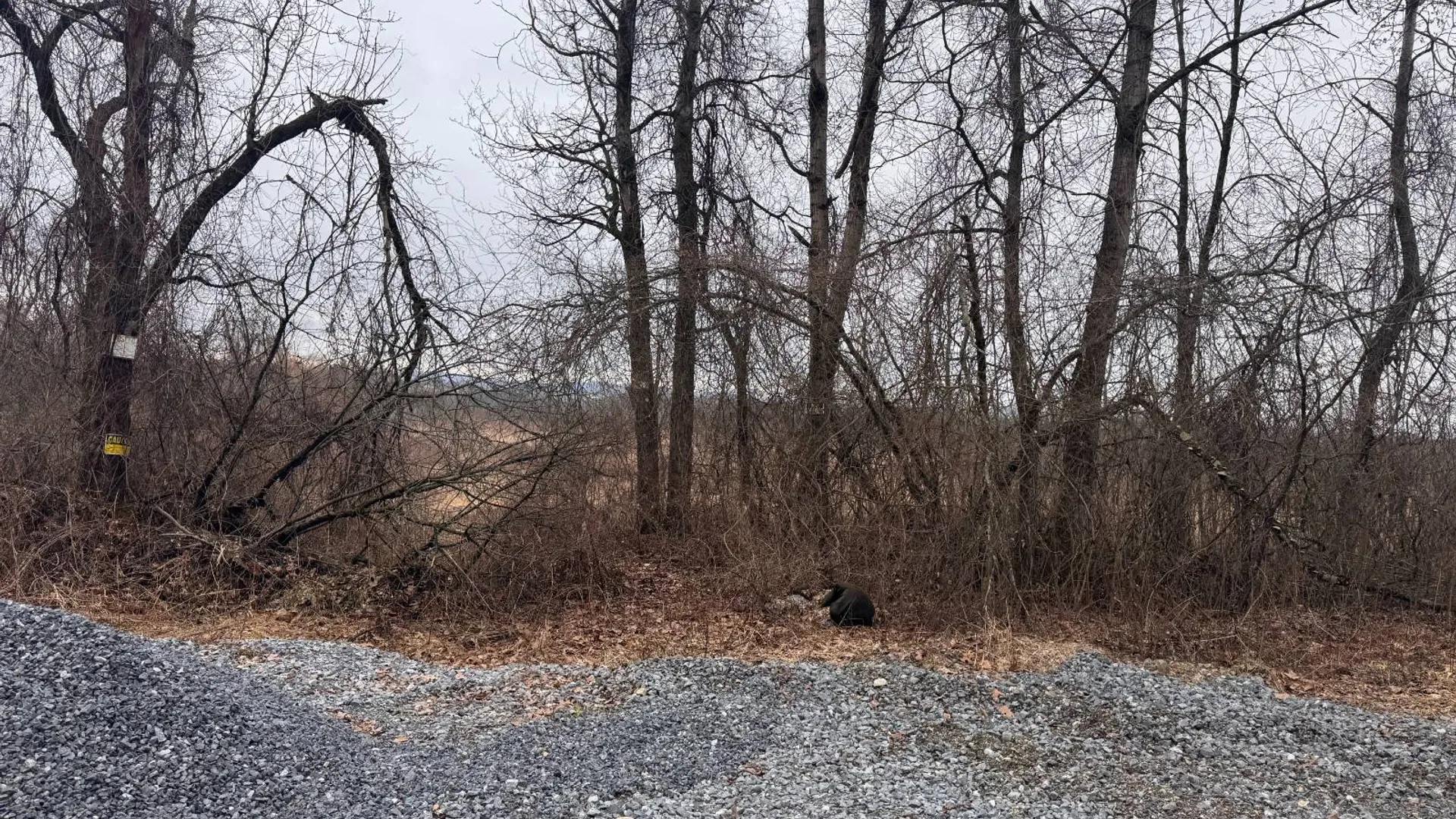 Property at 52 Hillview Dr, Kingsbury, NY 12839 2